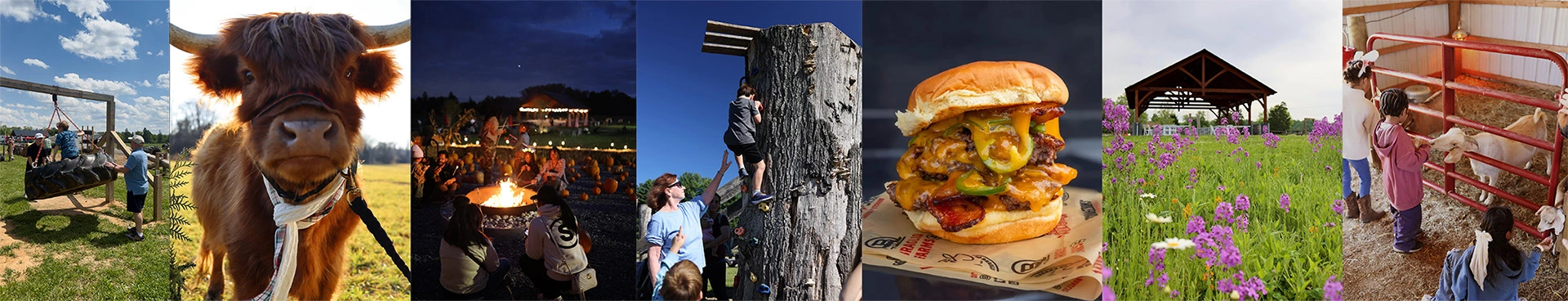 Braglio Farms Family Food and Fun
