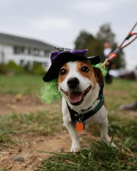 Family Friendly Halloween Trails