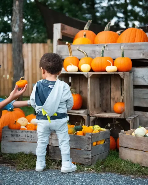 Family Friendly Halloween Trails